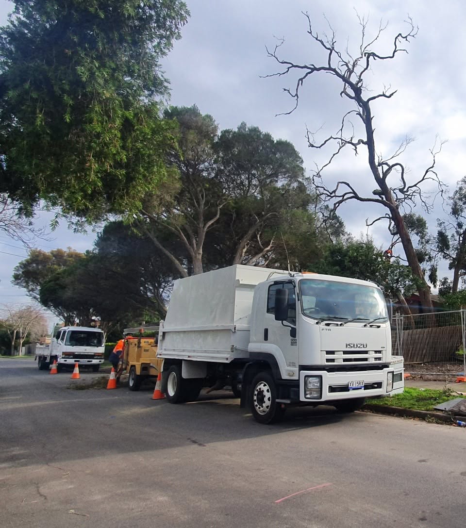Full crew on site — truck, chipper and traffic management